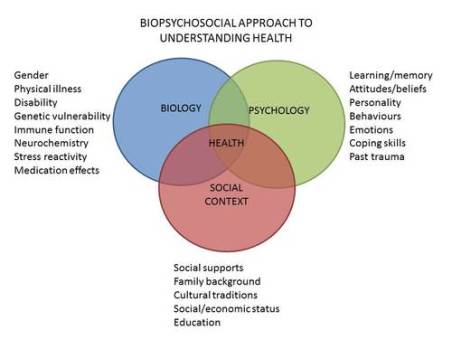 biopsychosocial+model.jpg